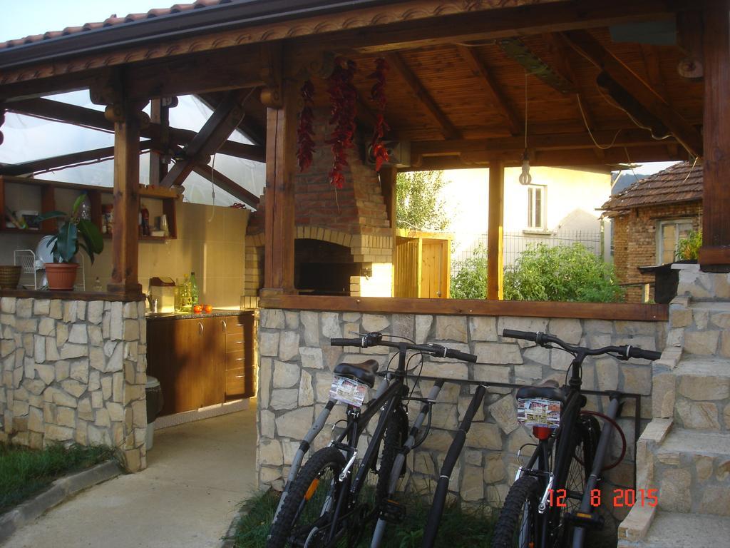 Guest House Camellia Berkovitsa Buitenkant foto