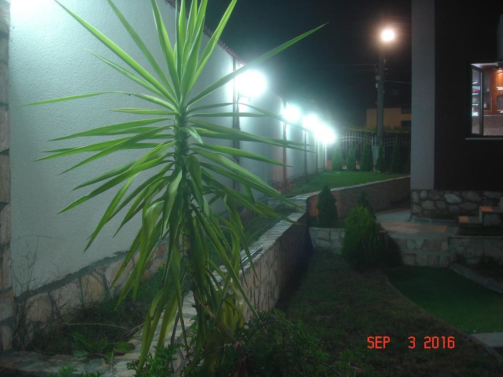 Guest House Camellia Berkovitsa Buitenkant foto