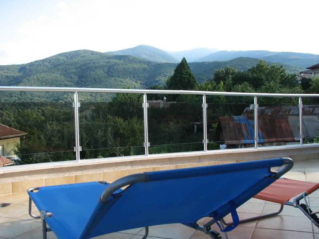 Guest House Camellia Berkovitsa Buitenkant foto