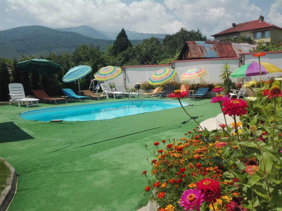 Guest House Camellia Berkovitsa Buitenkant foto